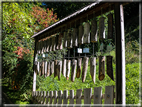 foto Giardini Trauttmansdorff - Paesaggi dell'Alto Adige